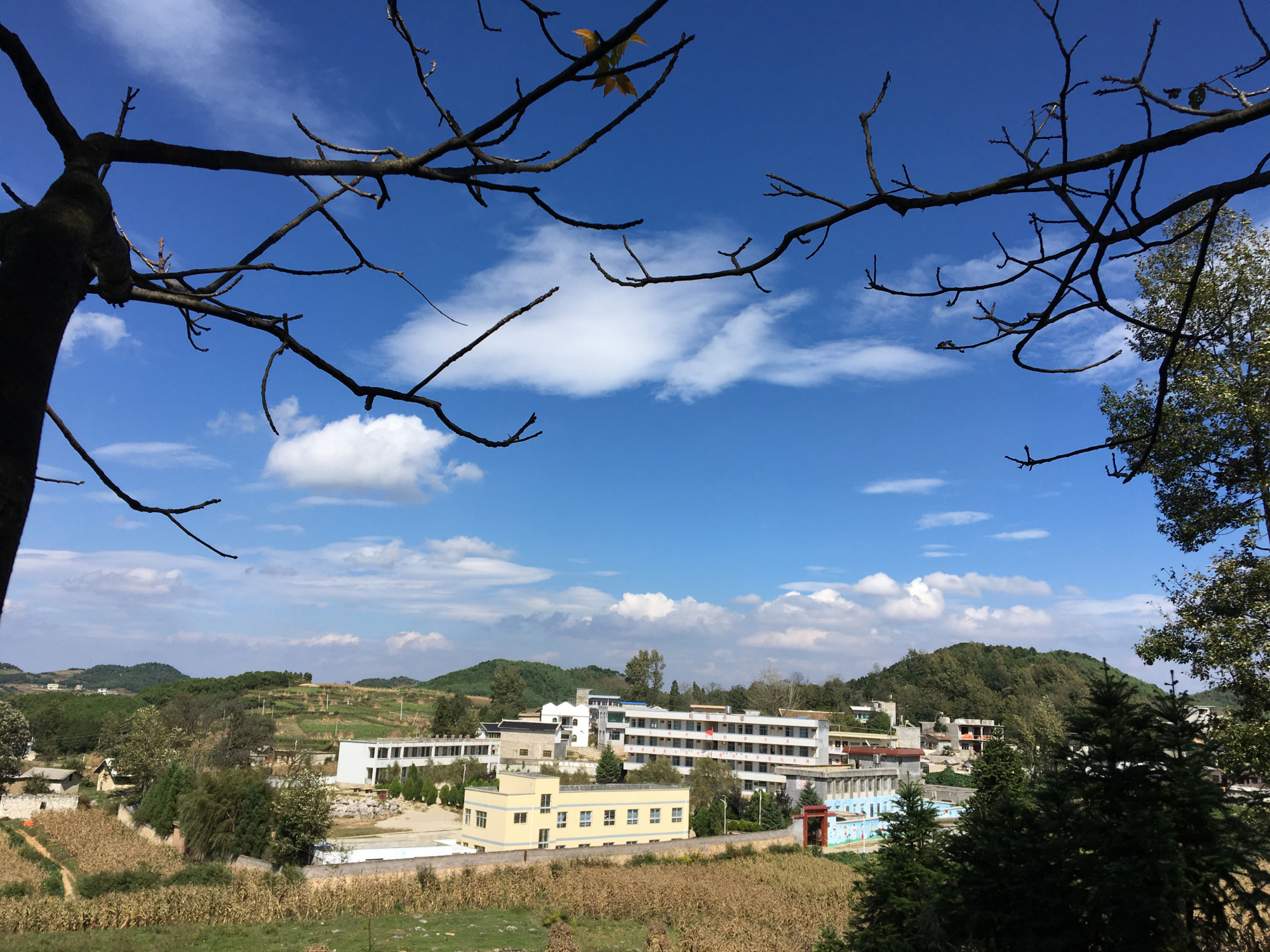 蛇街小学4_meitu_7.jpg