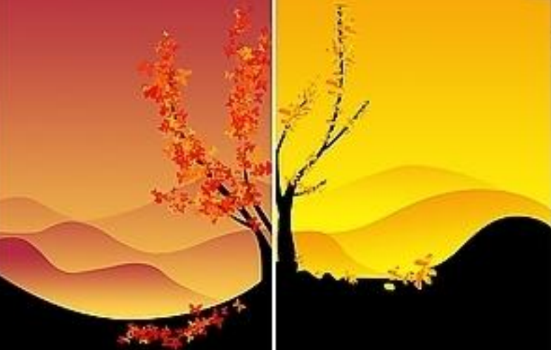 QQ图片20161108101443.png