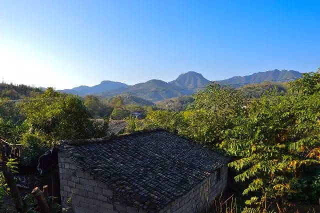 微信图片_20170605163215.jpg