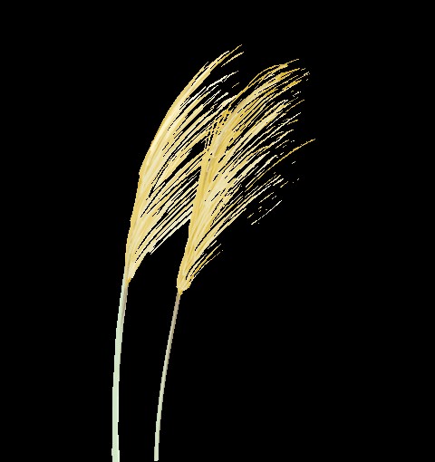 005bc050aa40f646cdc325f723e1884d.jpg